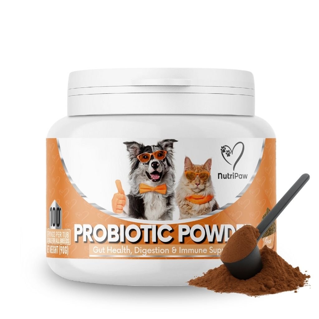 Pre, Pro & Postbiotic Powder