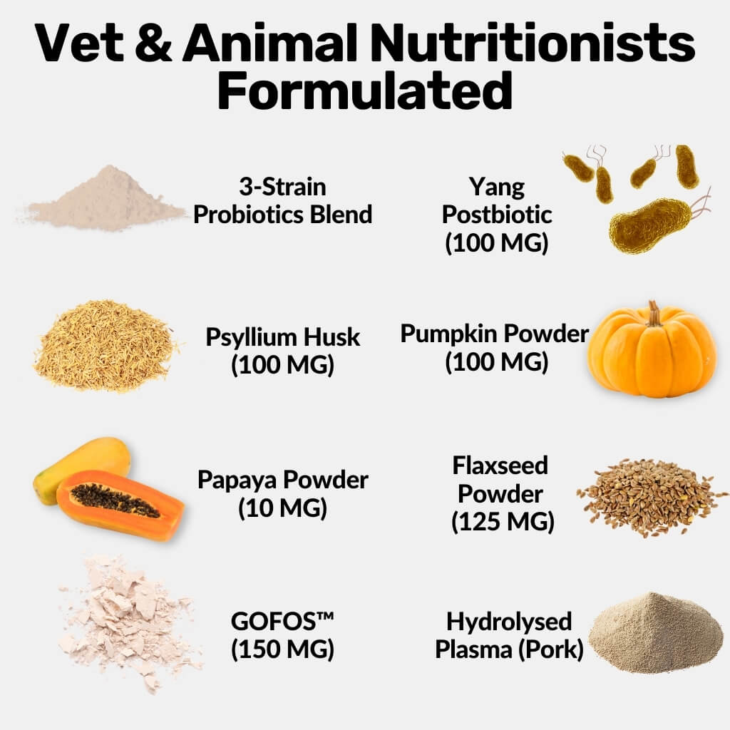 Pre, Pro & Postbiotic Powder