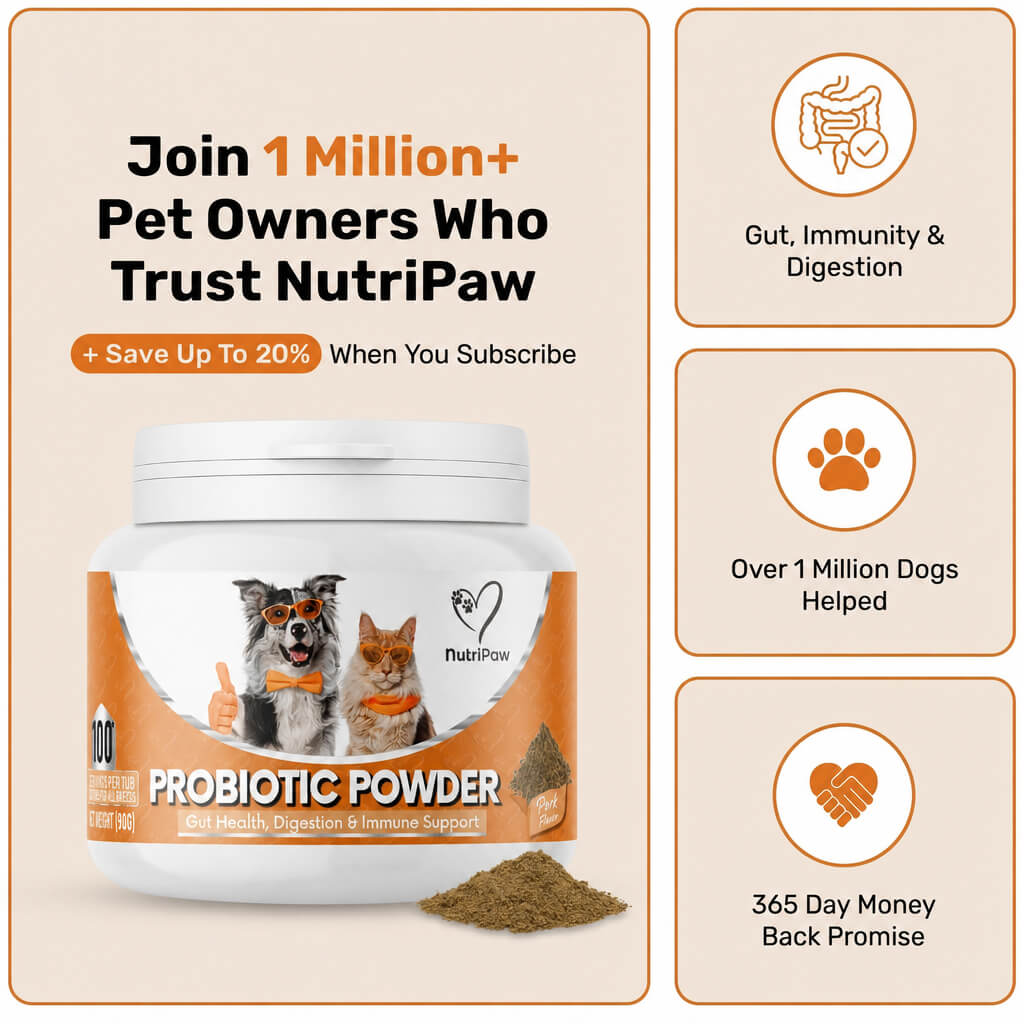 Pre, Pro & Postbiotic Powder