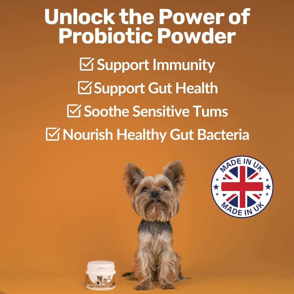 Pre, Pro & Postbiotic Powder