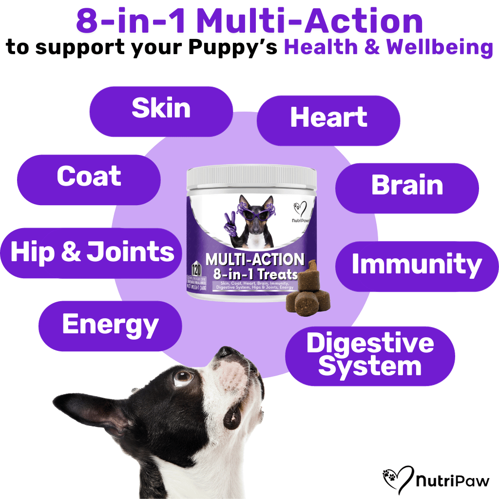 Proactive Wellness Pack