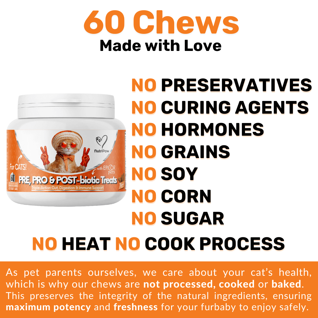 Probiotics & Hairball Chews