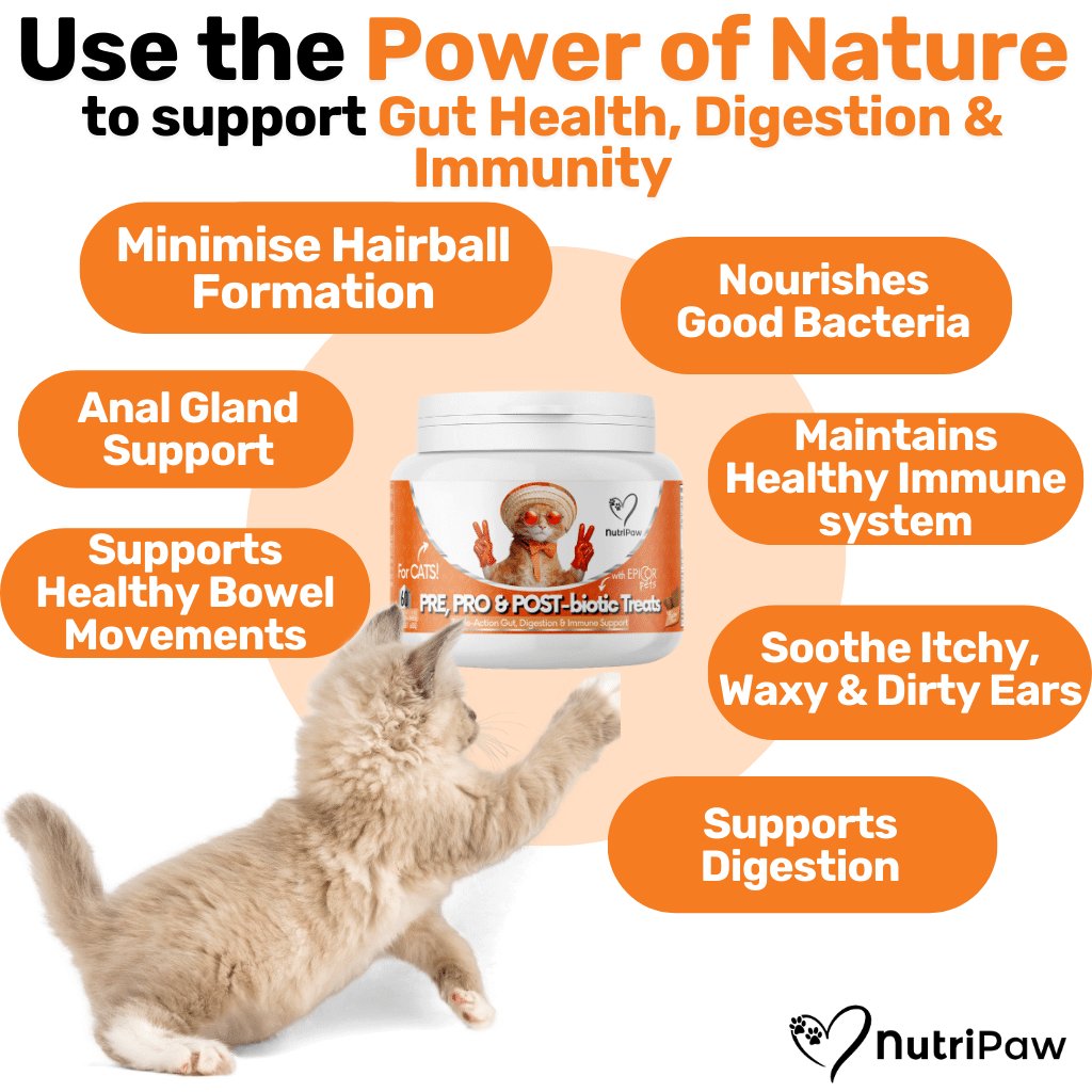 Probiotics & Hairball Chews