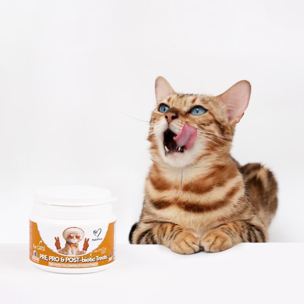 Probiotics & Hairball Chews