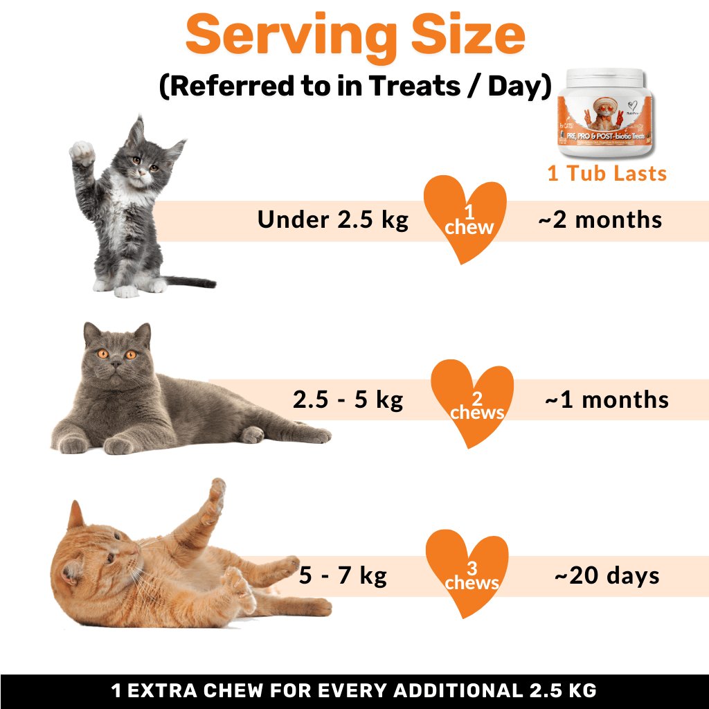 Probiotics & Hairball Chews