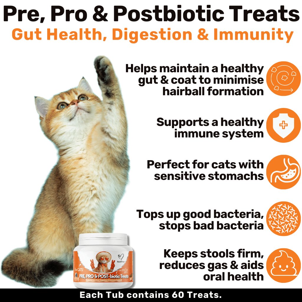 Probiotics & Hairball Chews