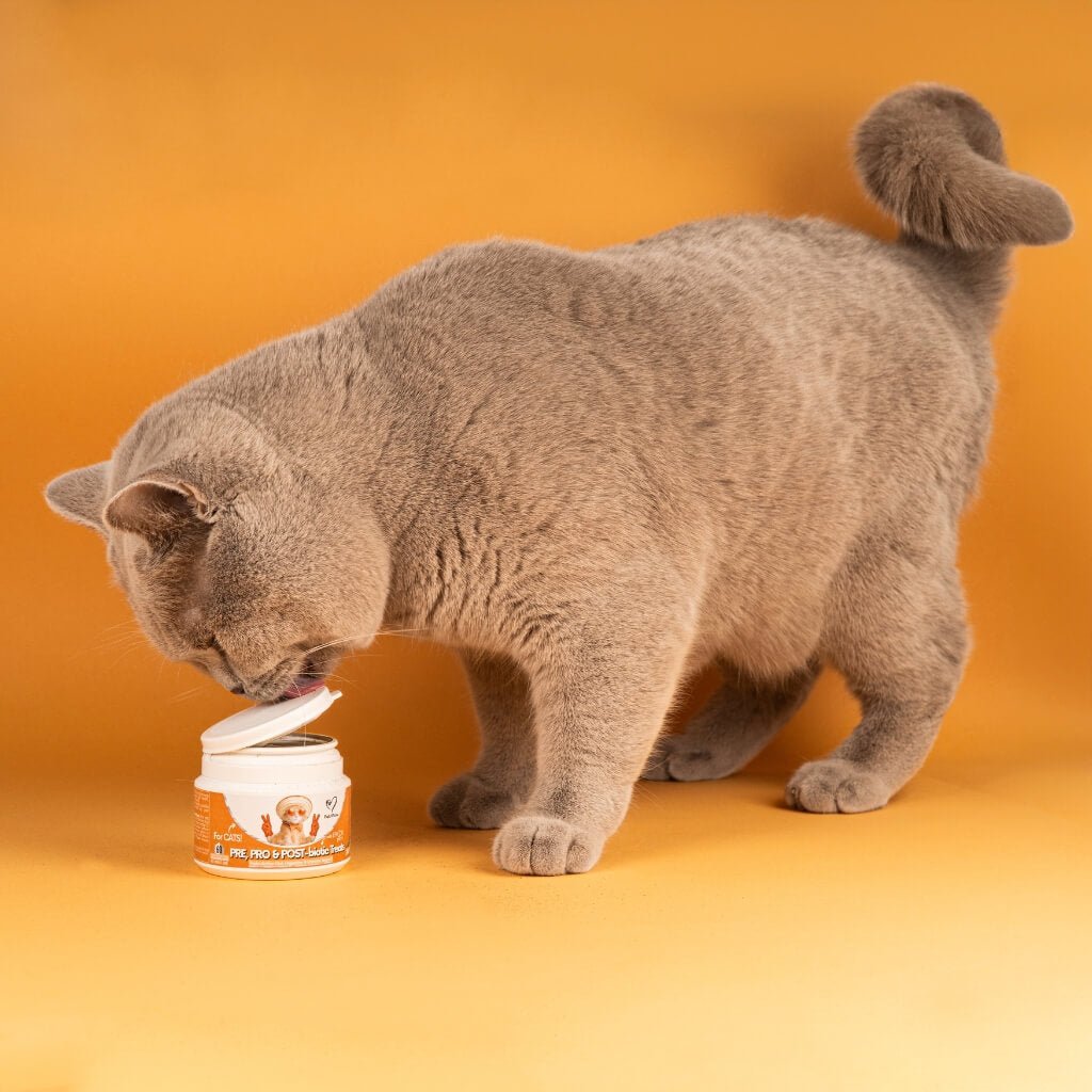 Probiotics & Hairball Chews