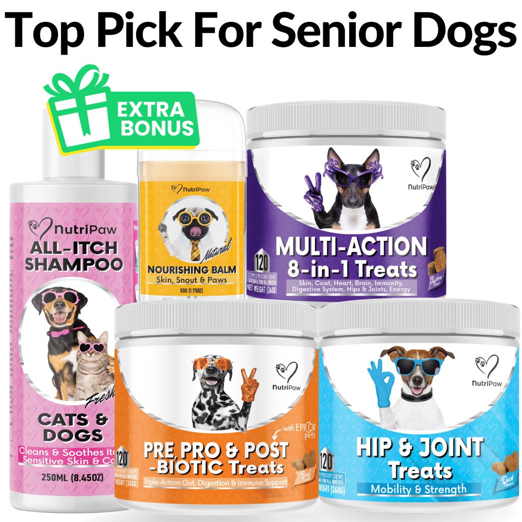 Senior Sale Pack