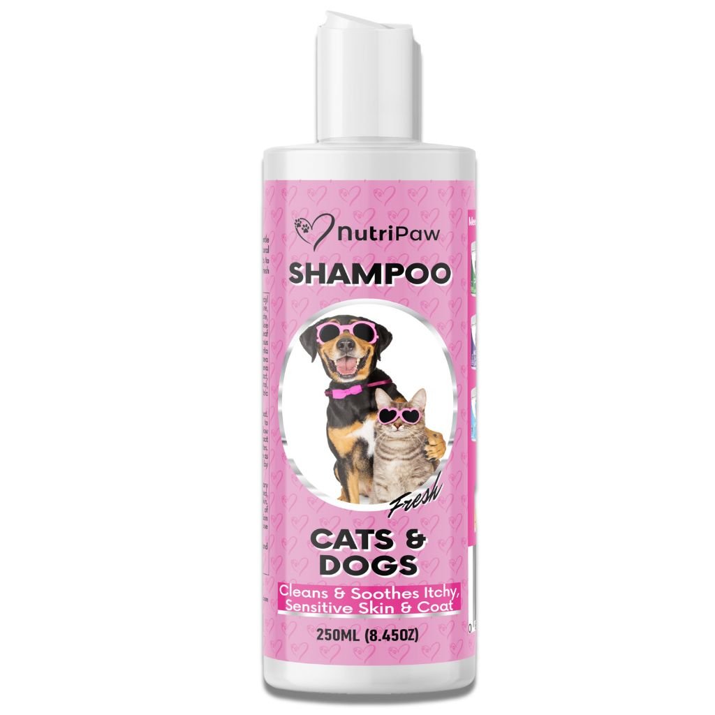 Shampoo