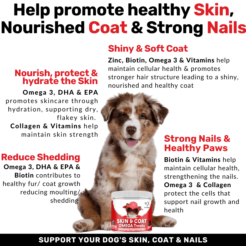 Skin & Coat Treats