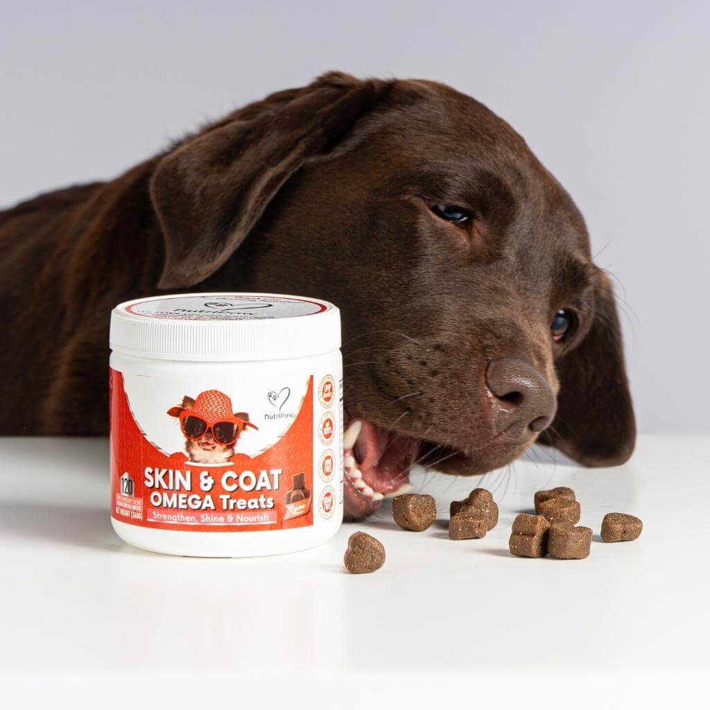 Skin & Coat Treats