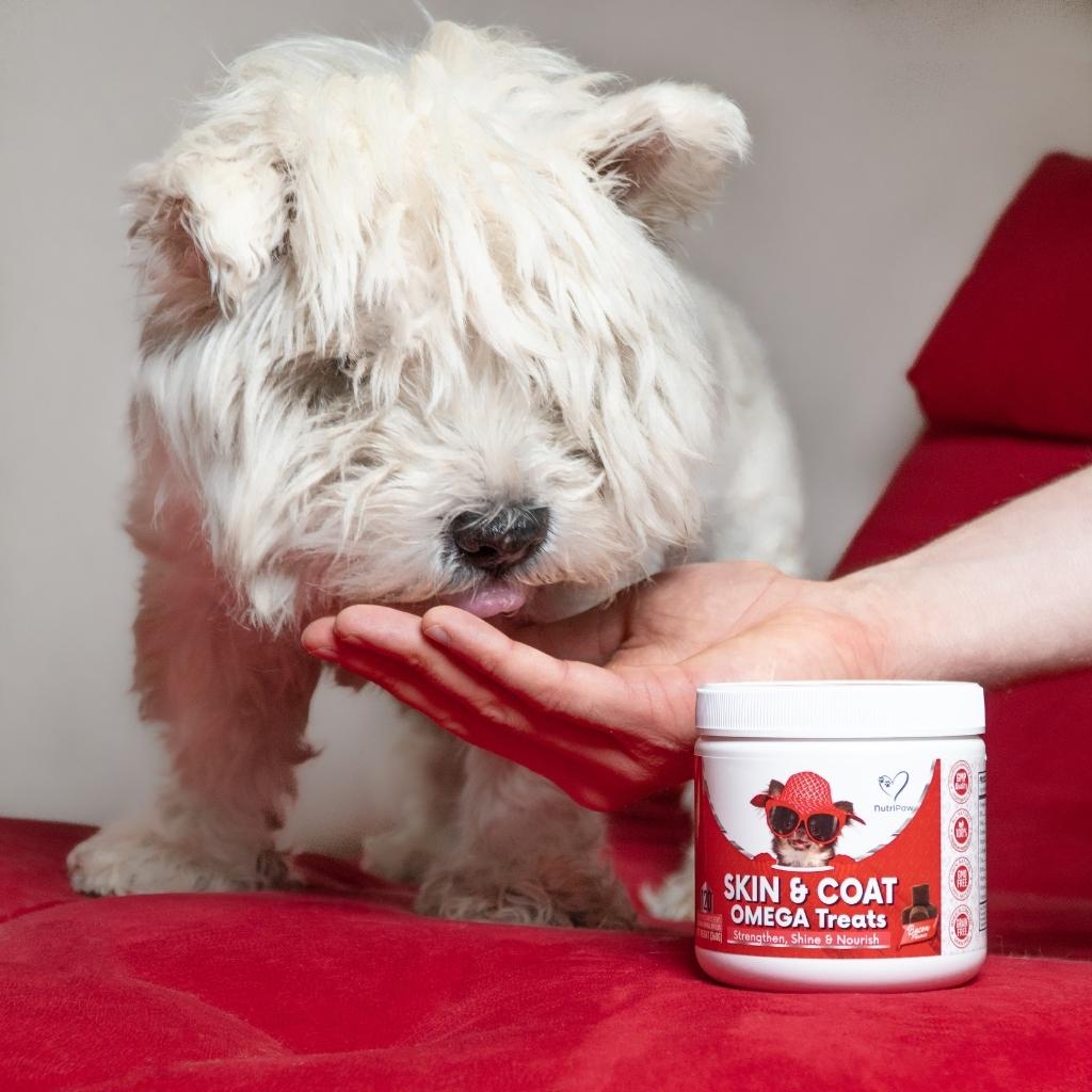 Skin & Coat Treats
