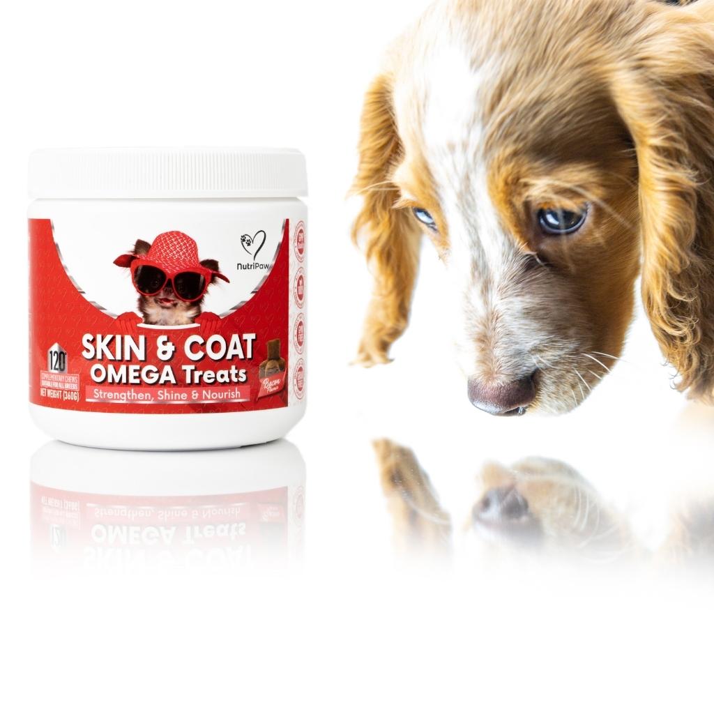 Skin & Coat Treats