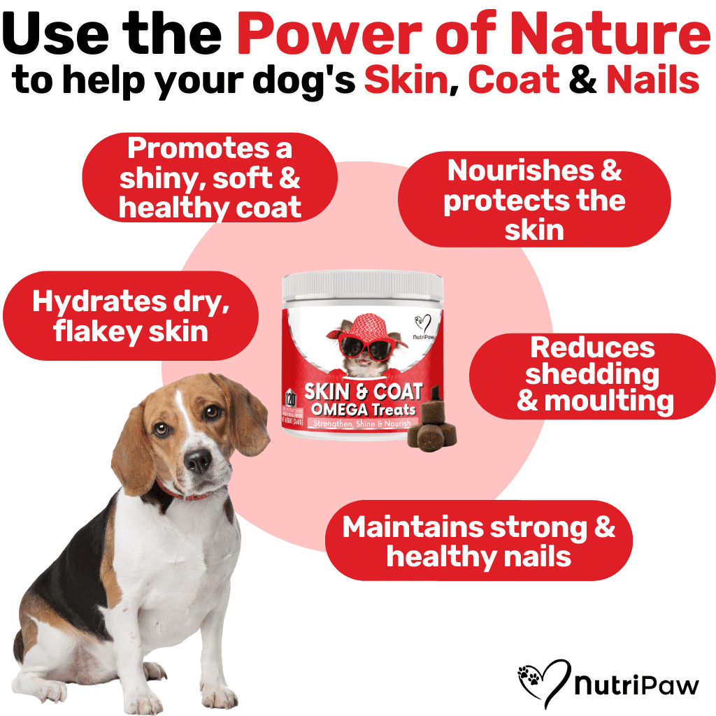 Skin & Coat Treats