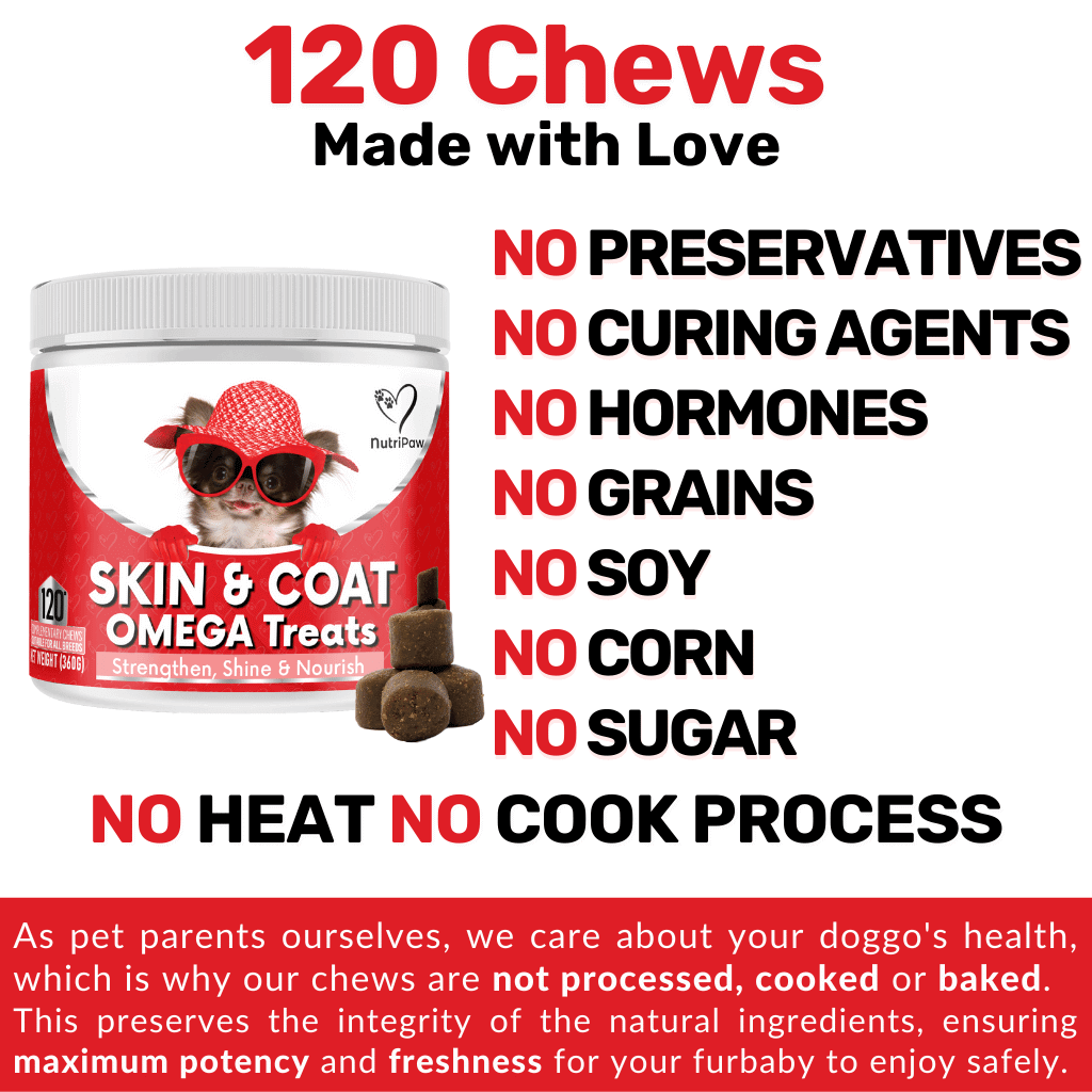 Skin & Coat Treats