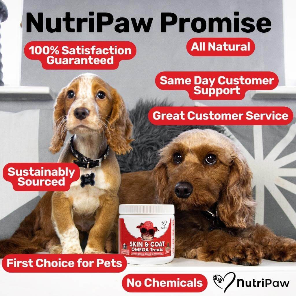 Skin & Coat Treats