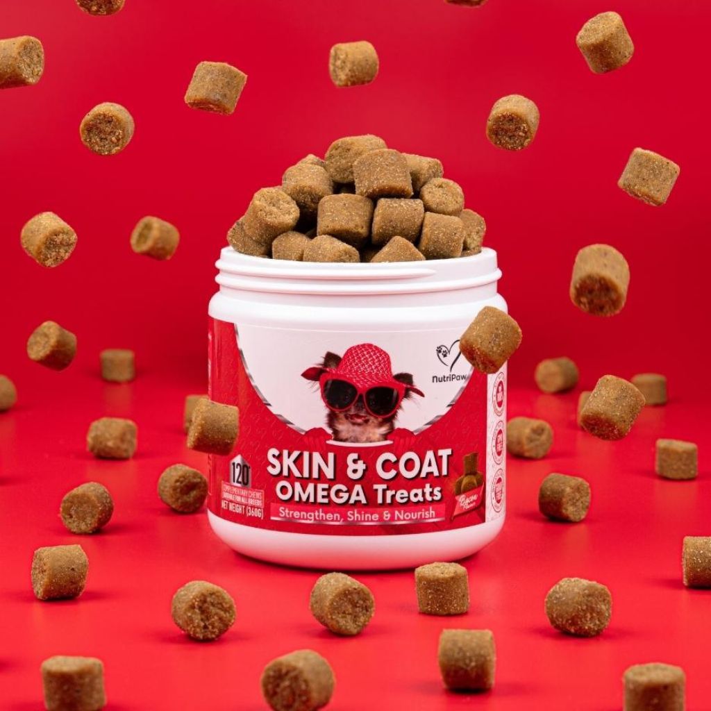 Skin & Coat Treats