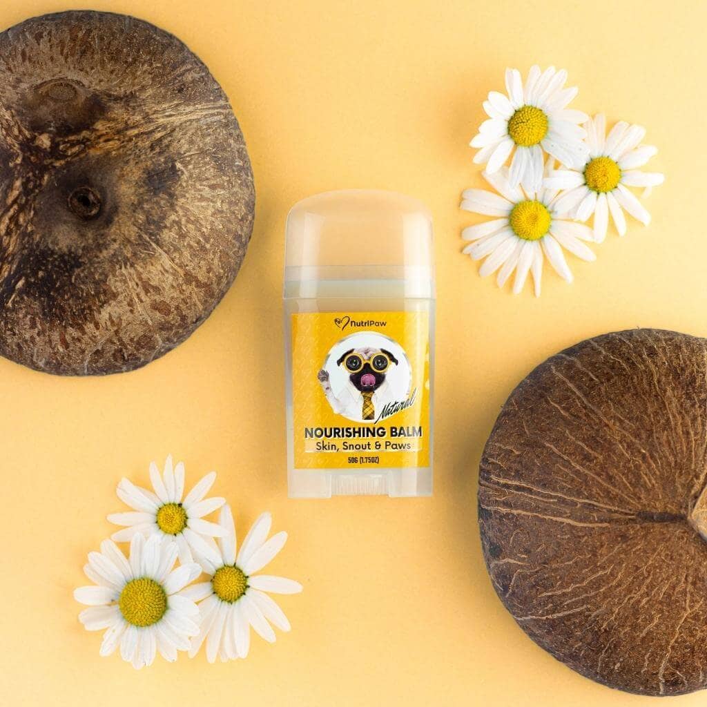 Skin, Snout & Paws Nourishing Balm 2 PACK Bundle