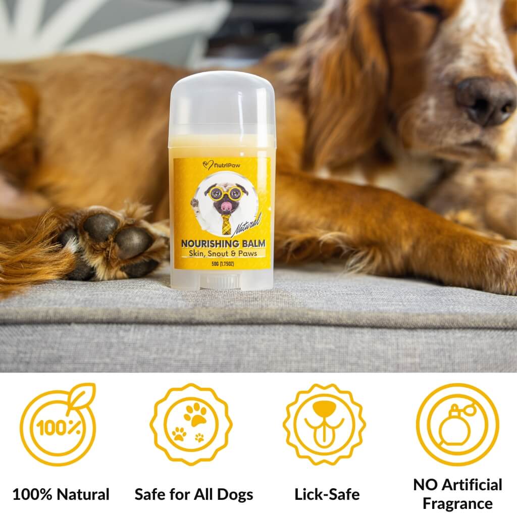 Skin, Snout & Paws Nourishing Balm 2 PACK Bundle
