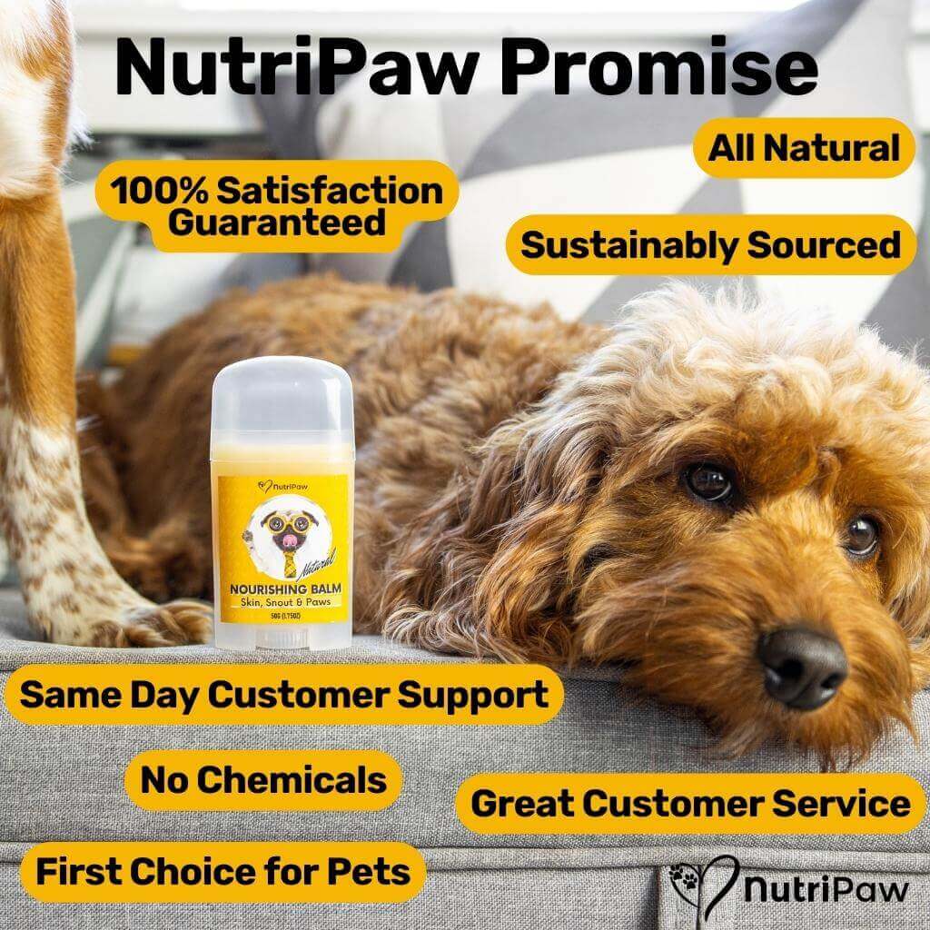 Skin, Snout & Paws Nourishing Balm 2 PACK Bundle