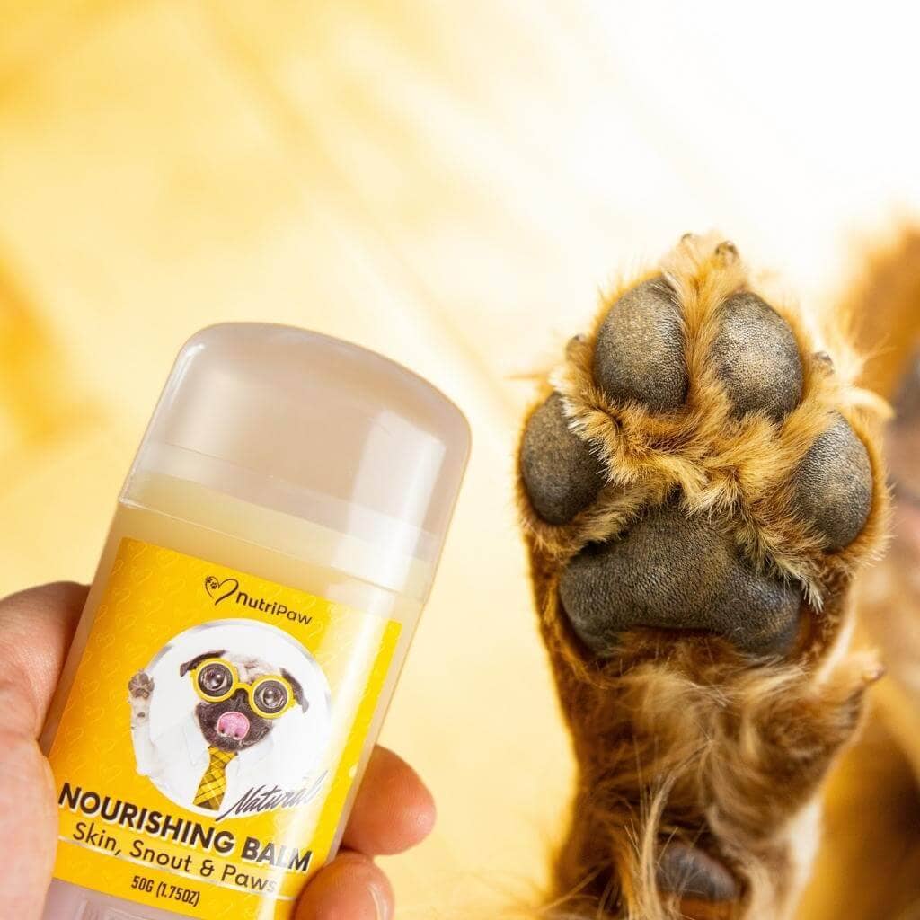 Skin, Snout & Paws Nourishing Balm 2 PACK Bundle