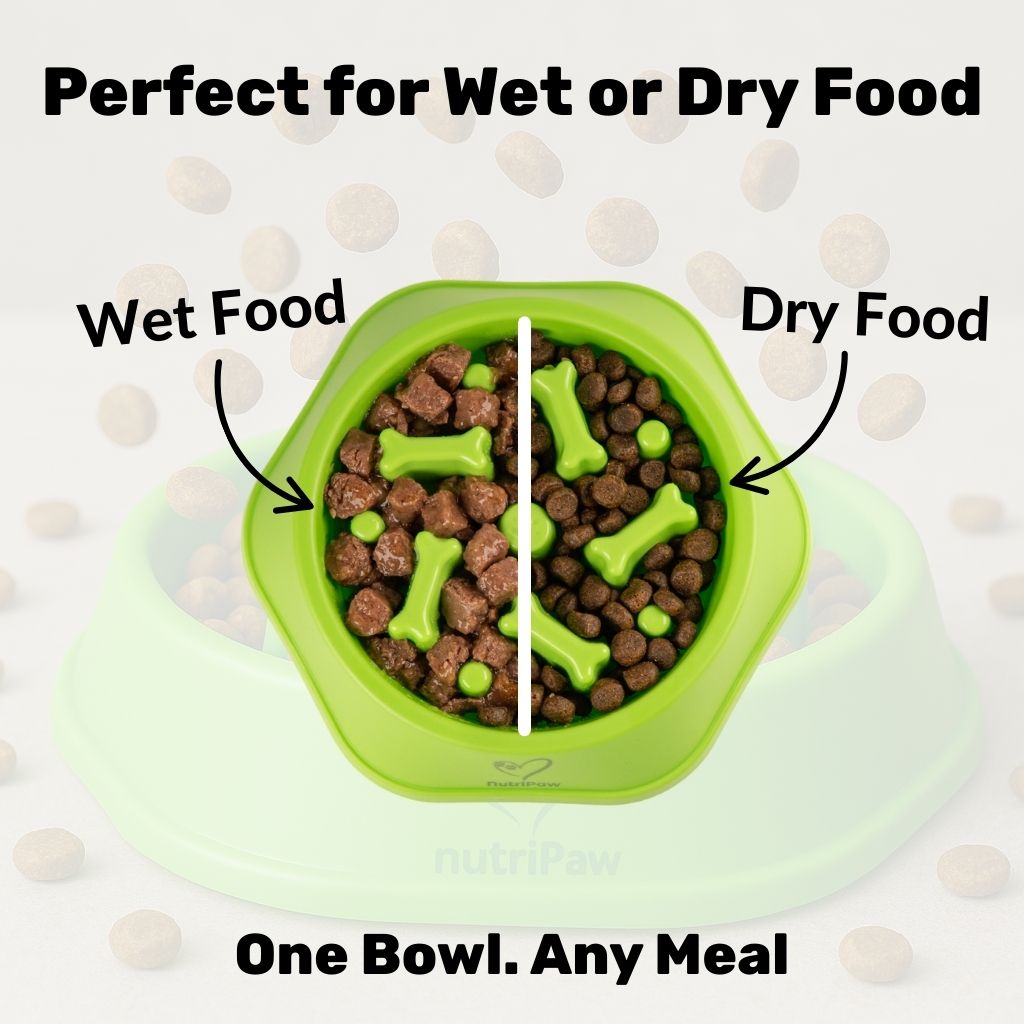 Slow Feeder Dog Bowl