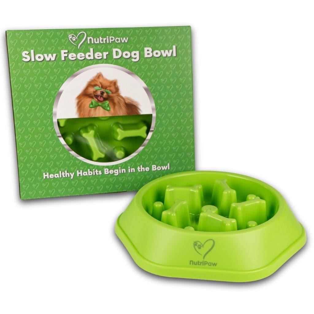 Slow Feeder Dog Bowl