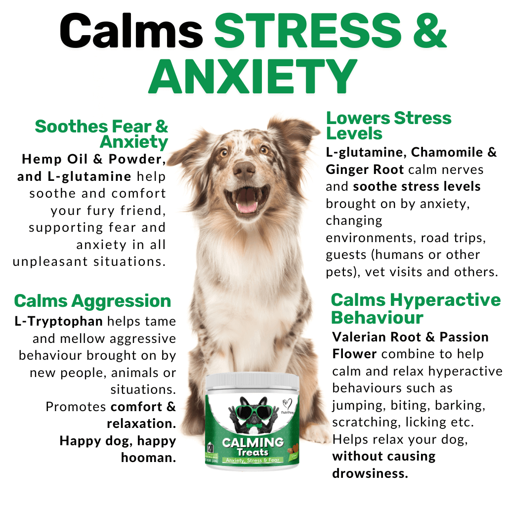 Stress & Scratch Kit