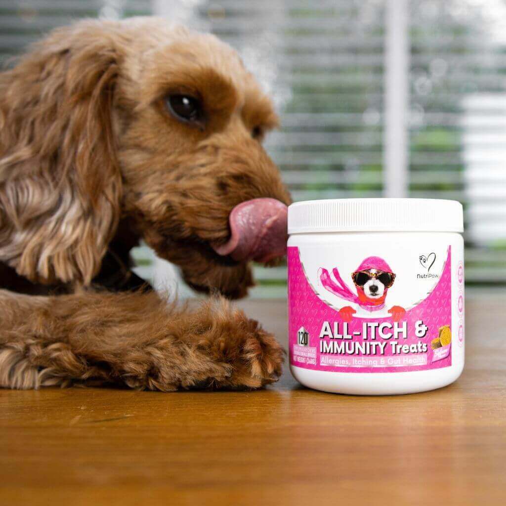Stress & Scratch Kit