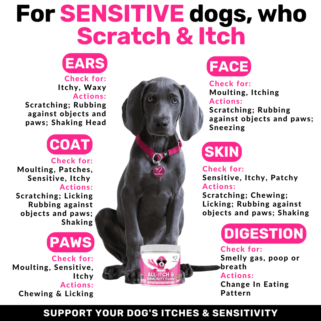 Stress & Scratch Kit
