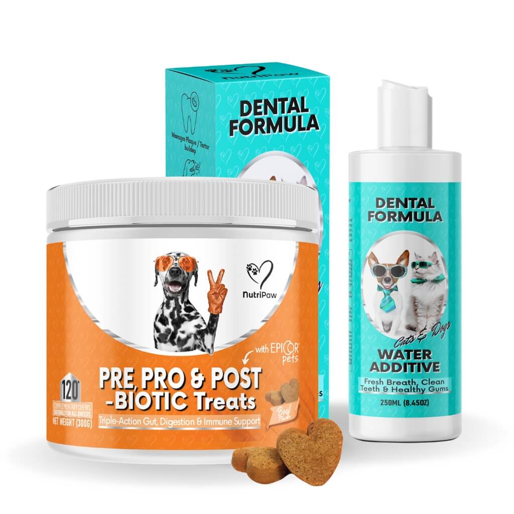 Teeth, Gums & Tums Kit