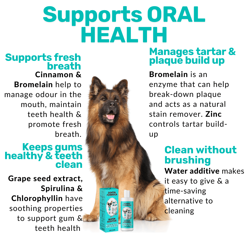 Teeth, Gums & Tums Kit