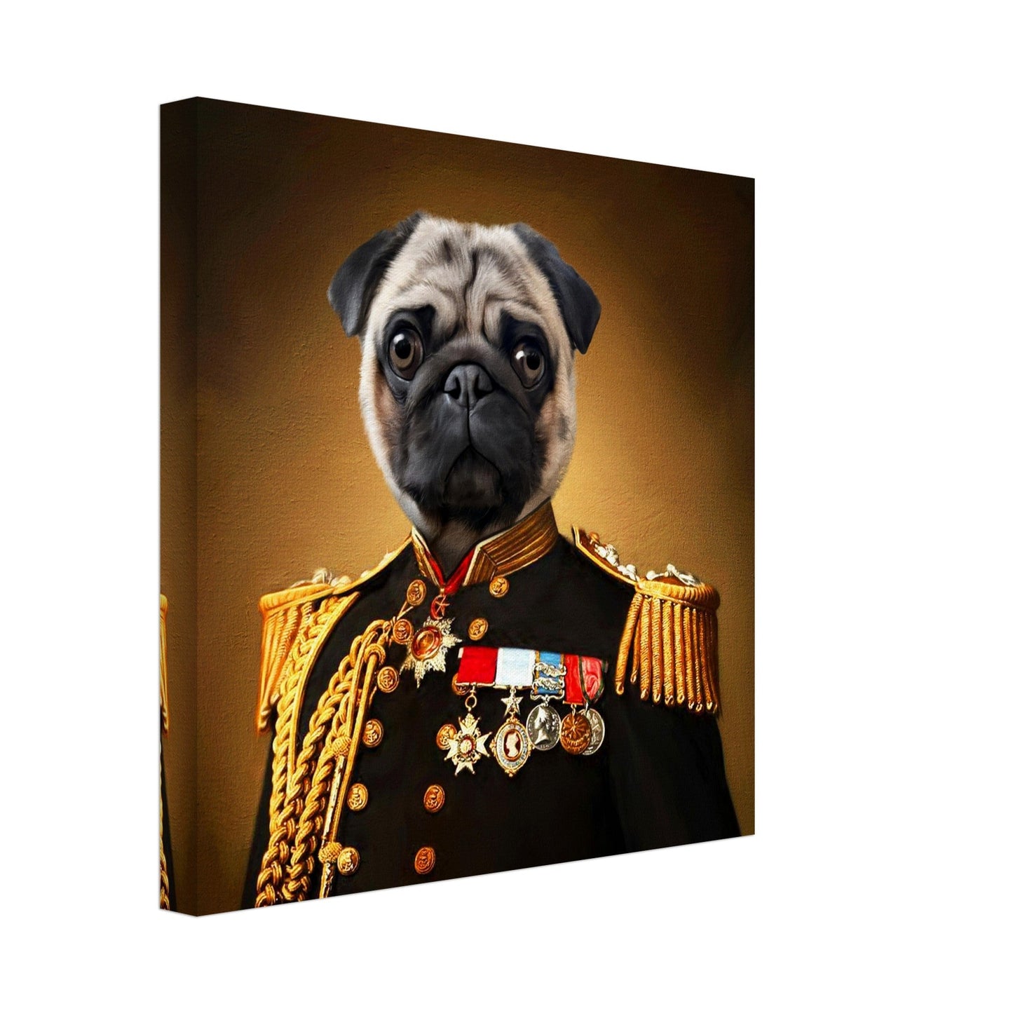 The General - Renaissance Pet Portrait