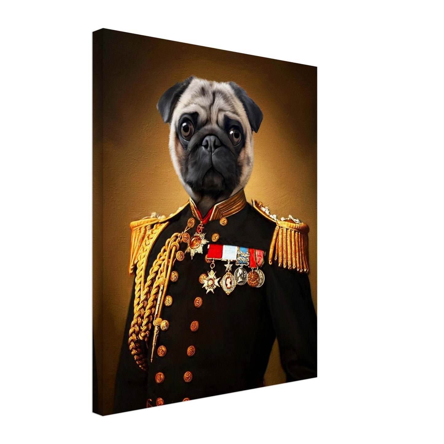 The General - Renaissance Pet Portrait