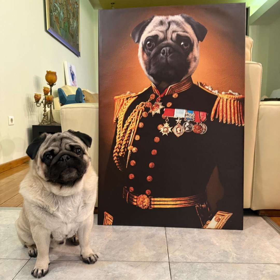 The General - Renaissance Pet Portrait