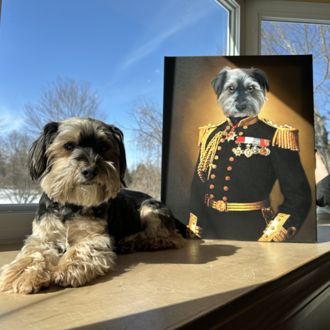 The General - Renaissance Pet Portrait