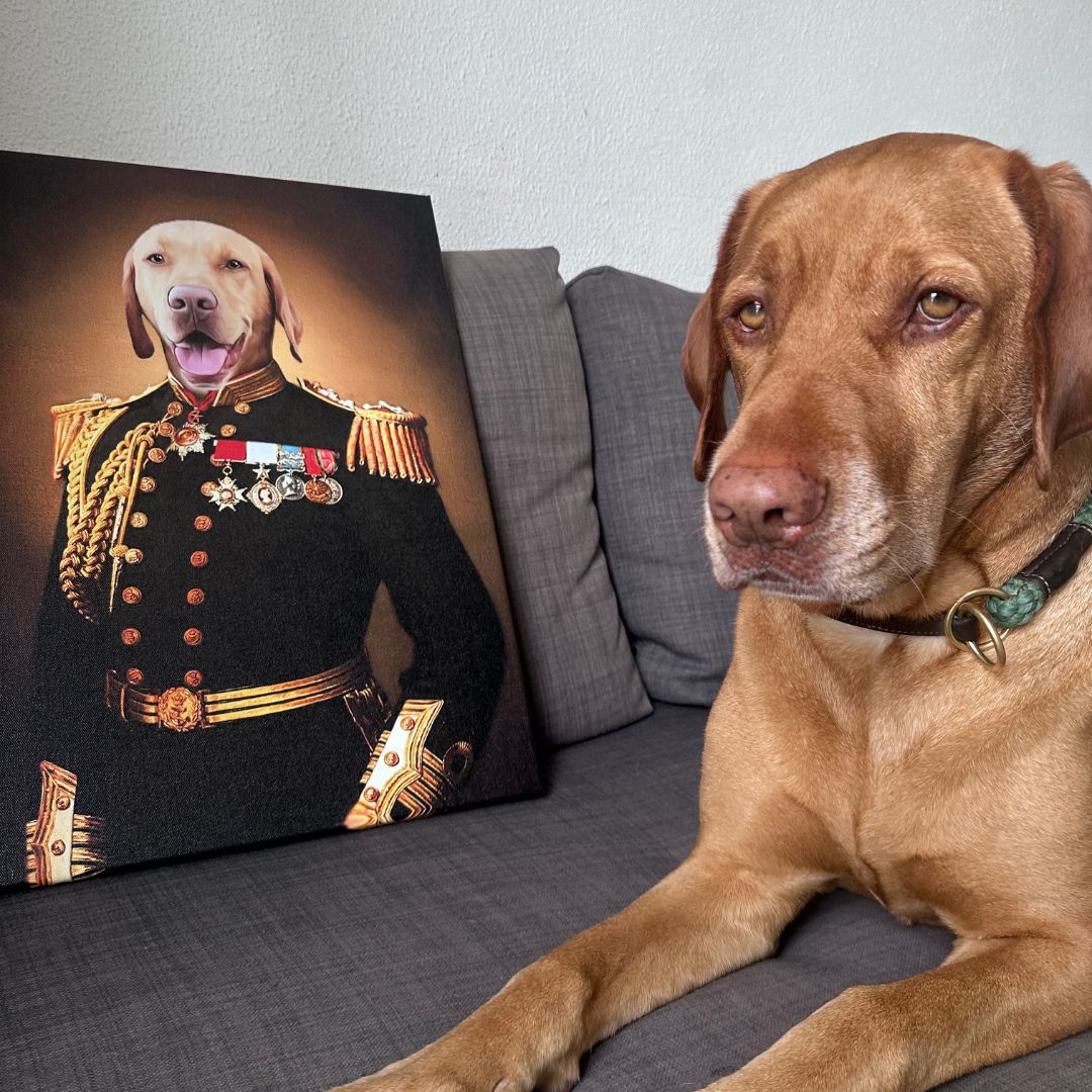 The General - Renaissance Pet Portrait