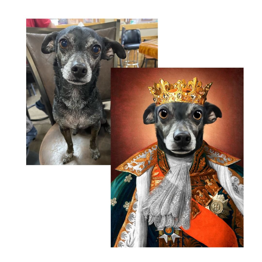 The King - Renaissance Pet Portrait