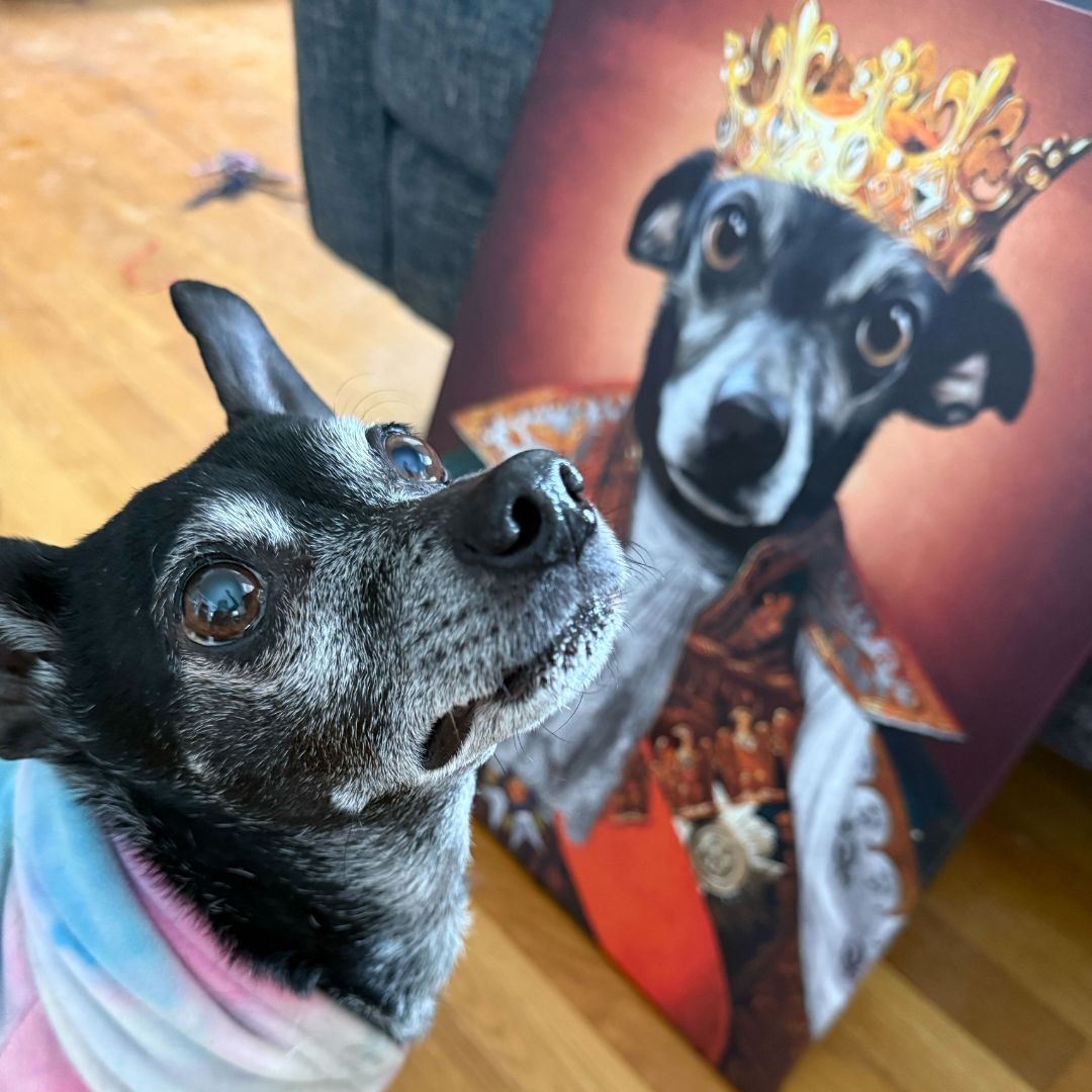 The King - Renaissance Pet Portrait