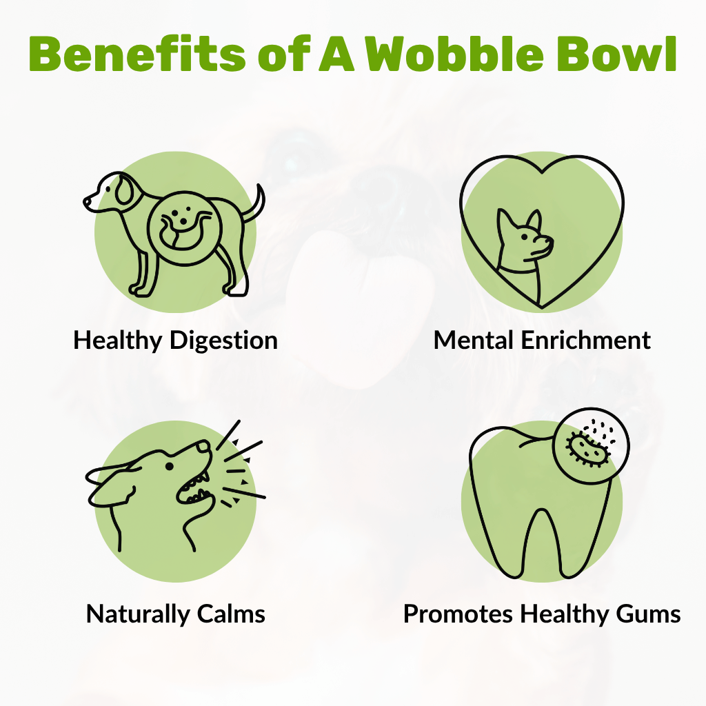 Wobble Lick Bowl